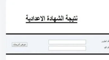 بنسبة نجاح 74.2%.. اعتماد نتيجة الشهادة الإعدادية في محافظة بورسعيد لعام 2026